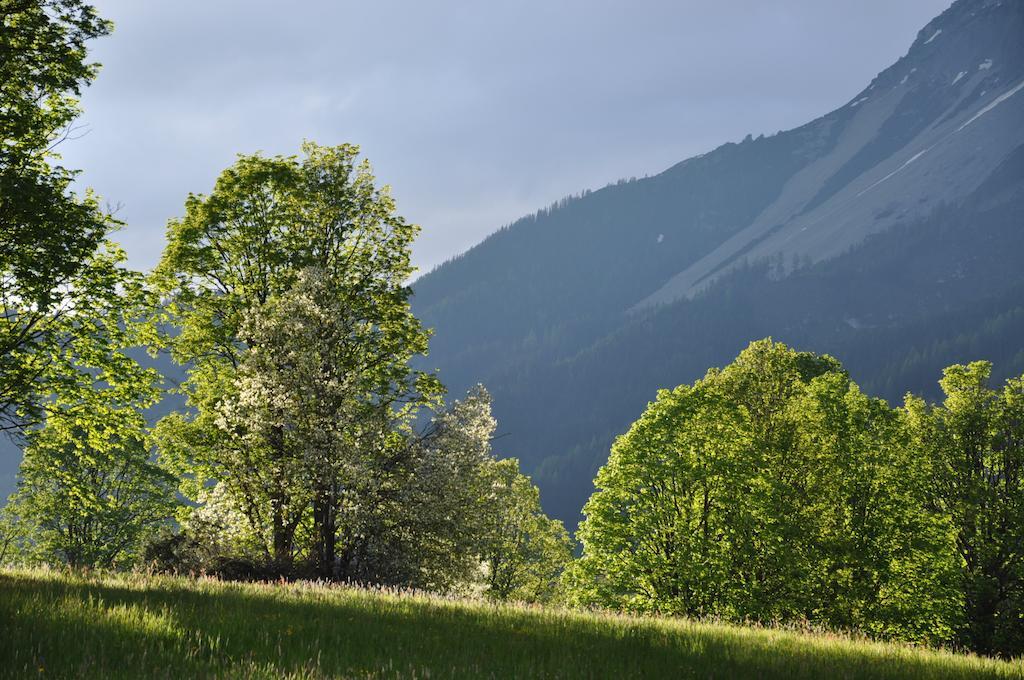 Apartmenthaus Dornroeschen Ramsau am Dachstein Eksteriør billede
